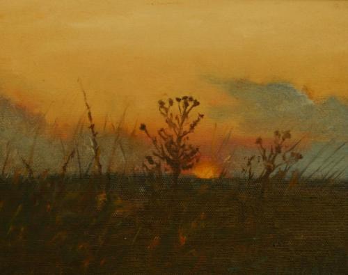 pejzaze-kazimierskie-pola-1